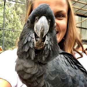 Meet your Posher, Kara